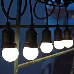 Đèn treo cây ngoài trời