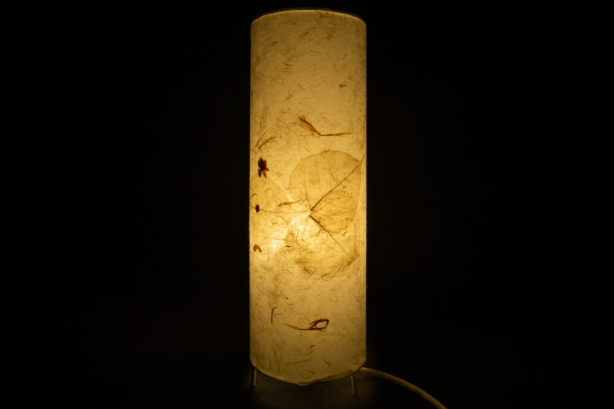 den-giay-do-ca-vang-bo-de-gd005