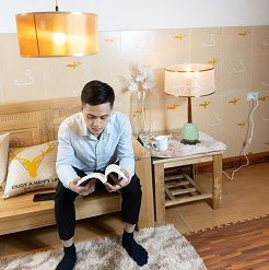 Combo đèn trang trí