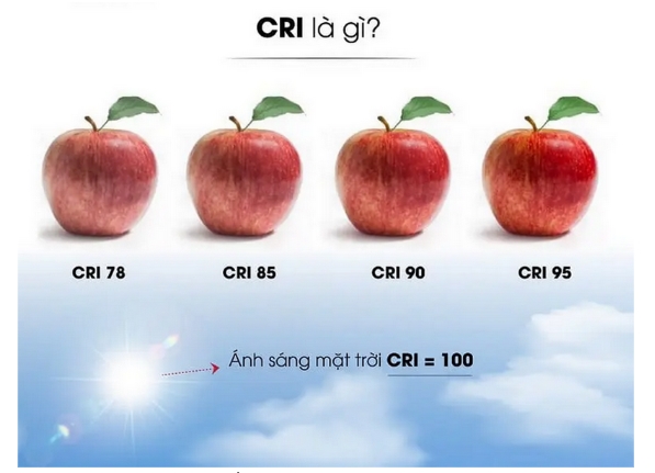 Chỉ số CRI trong ánh sánh của đèn led